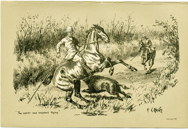 The spear was knocked flying