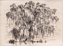 Plate 10: [untitled willow tree next to river]