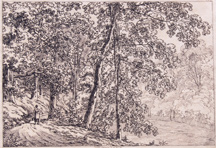 Plate 8: [untitled trees/woman walking on dirt road]