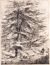 Plate 9: [untitled trees/man on horseback] 