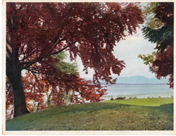 Autumn at the Starnberg Lake