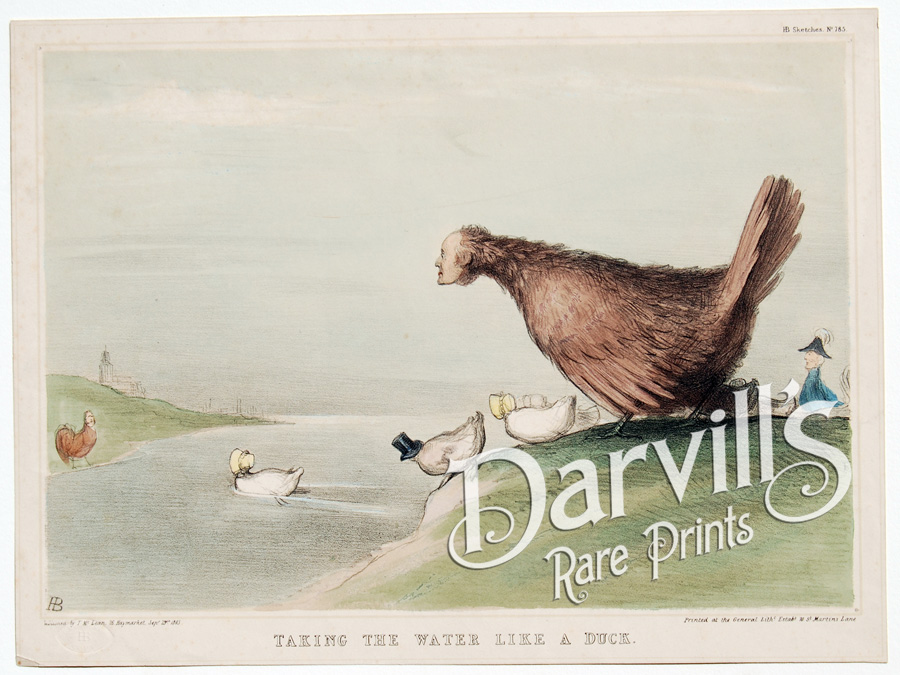 TAKING THE WATER LIKE A DUCK