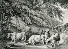 Howitt etching cows drinking at creek