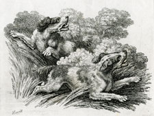 Howitt etching of two dogs cavorting in field