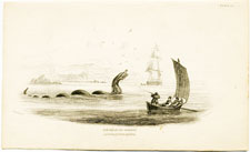 The Great Sea Serpent