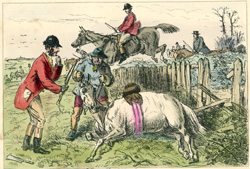 Mr Bunting's Shocking Bad Horse