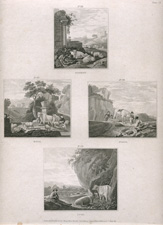 276-279: Romeyn, Roos, Stoop, Cuyp