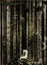 The Gloomy Thick Wood