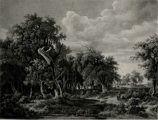 Woodland Landscape