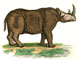 Comte de Buffon's mammals