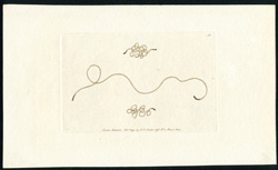 The Common Gordius, or Hair-Worm
