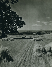 The Lush Willamette Valley