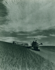 Wheat Harvest in the Palouse Country