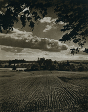 Spring Planting, Canby, OR