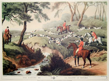 Fox Hunting