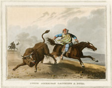 South American Catching a Bull