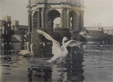 Palace of Fine Arts, San Francisco PPIE 1915