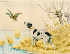 Pointer and Duck