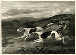 Sportsman's Repository engravings of horses and dogs