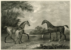 King Herod and Flying Childers
