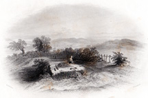 The Field of Bannockburn