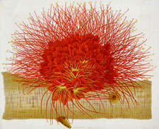 BROWNEA MACROPHYLLA
