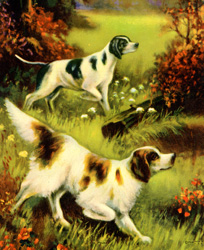 Vintage calendar/poster prints of dogs