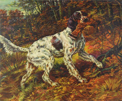 Vintage calendar/poster prints of dogs