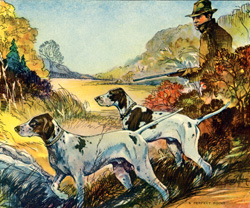 Vintage calendar/poster prints of dogs