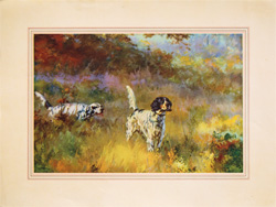 Vintage calendar/poster prints of dogs