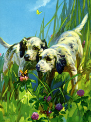 Vintage calendar/poster prints of dogs