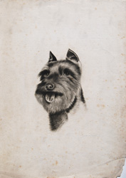 Vintage calendar/poster prints of dogs