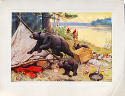 Vintage calendar art: camping, wildlife, etc.