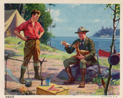 Vintage calendar art: camping, wildlife, etc.