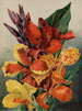 Lovely color lithograph prints of bouquets and flowers from turn-of-the 20th century